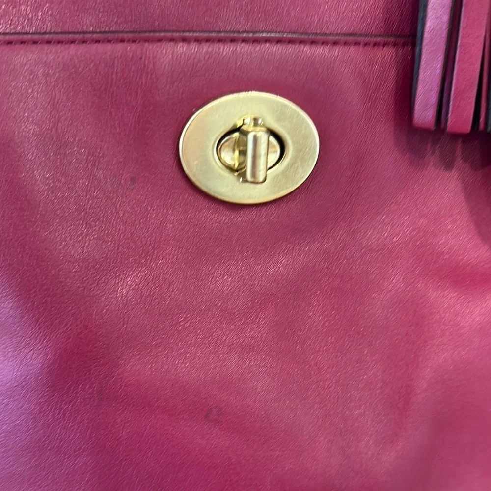 Coach Berry Leather Tote with Gold Hardware